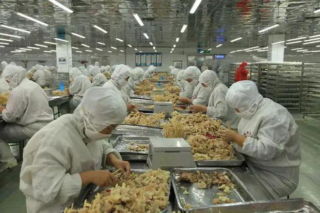 服務業(yè)穩(wěn)定增強 助力河北省新經(jīng)濟崛起 食品互聯(lián)網(wǎng)銷售蓬勃發(fā)展